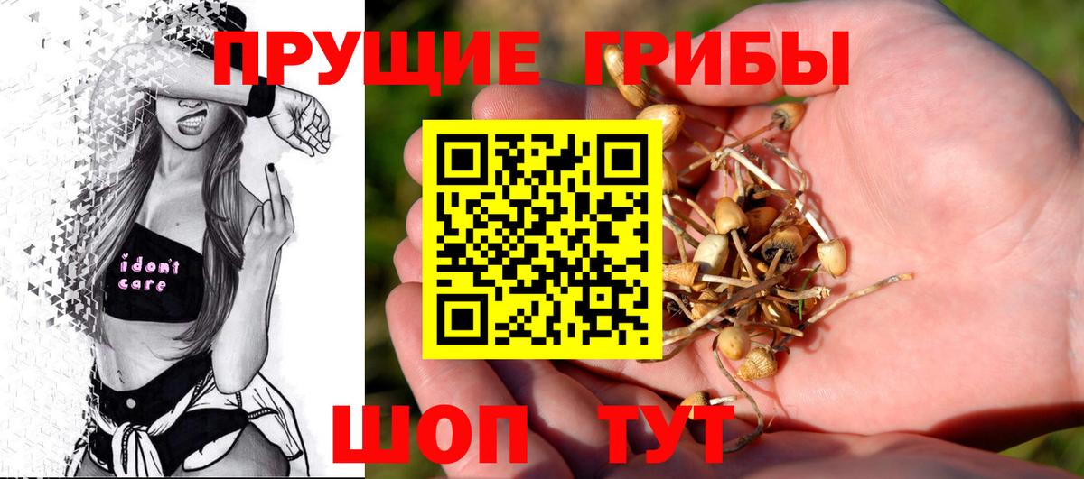 LSD-25 Ленинск-Кузнецкий