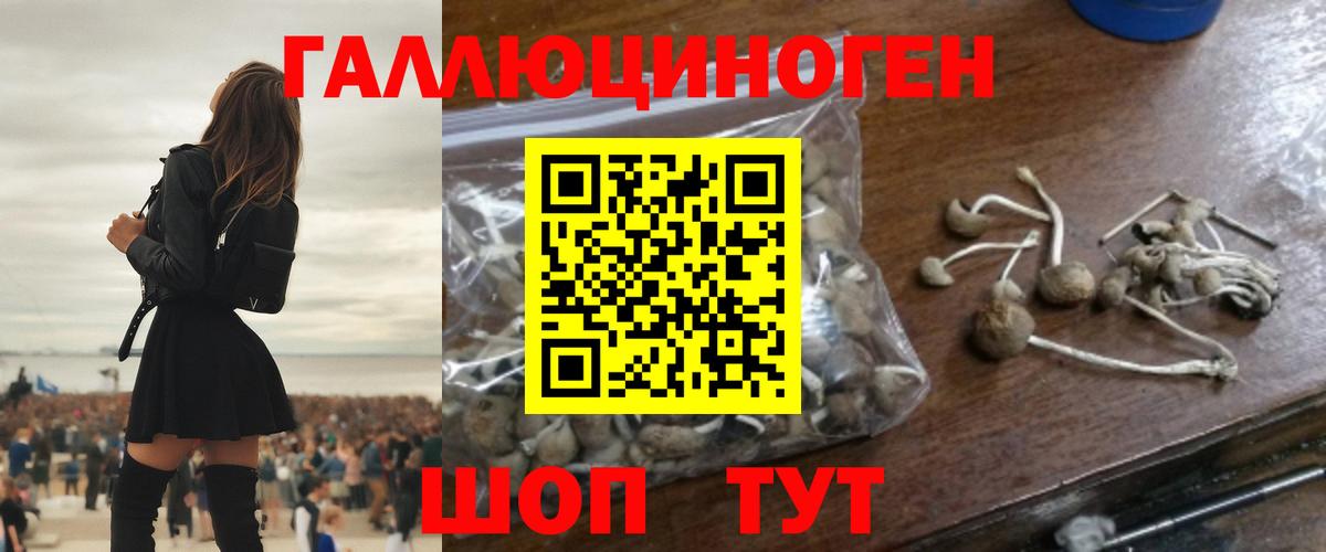 Псилоцибиновые грибы ЛСД Ленинск-Кузнецкий